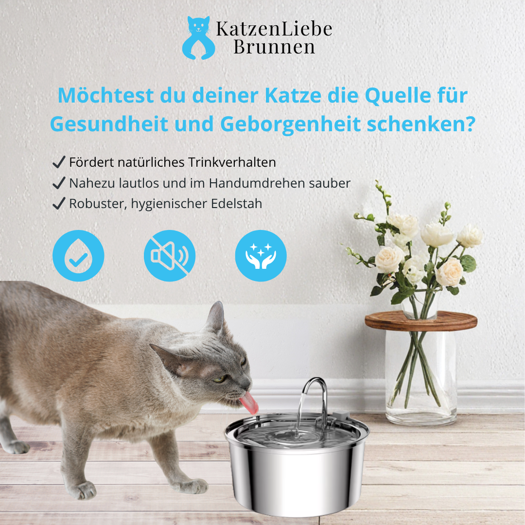 KatzenLiebe Brunnen – leiser Edelstahl-Trinkbrunnen für gesunde & glückliche Katzen
