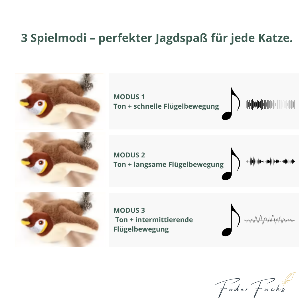 FederFuchs — Das spielerische Federleben, das Ihre Katze erwachen lässt.