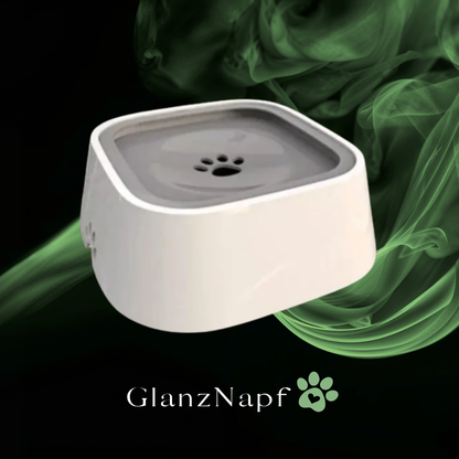 GlanzNapf – Der spritzfreie Trinknapf, der Ihren Boden trocken und Ihren Hund gesund hält.