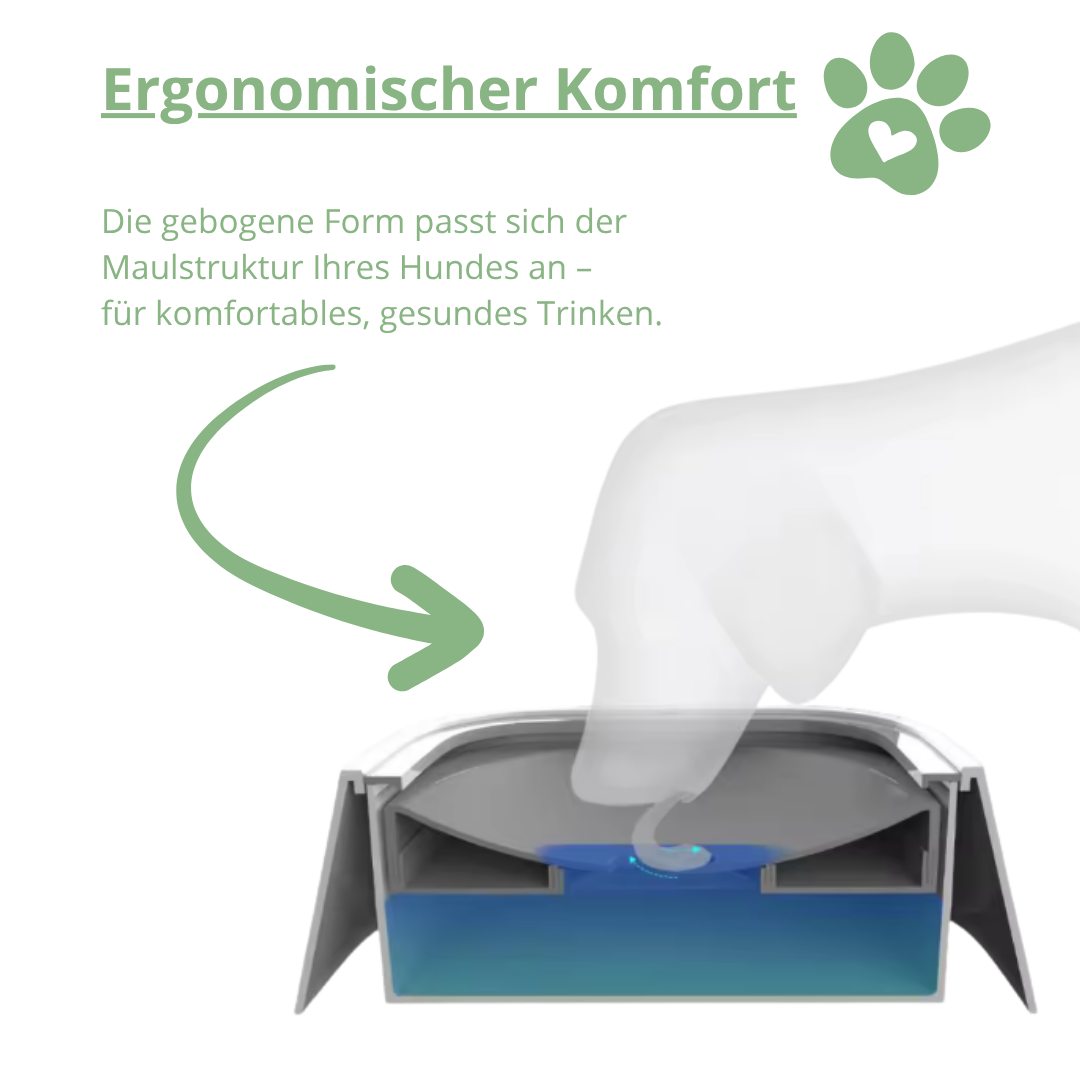 GlanzNapf – Der spritzfreie Trinknapf, der Ihren Boden trocken und Ihren Hund gesund hält.