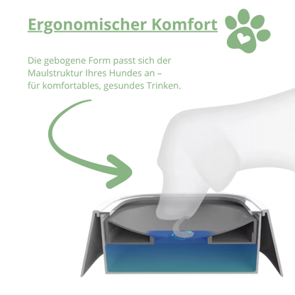 GlanzNapf – Der spritzfreie Trinknapf, der Ihren Boden trocken und Ihren Hund gesund hält.