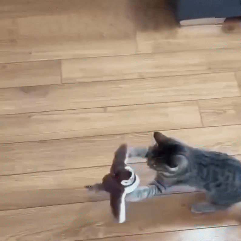 FederFuchs — Das spielerische Federleben, das Ihre Katze erwachen lässt.