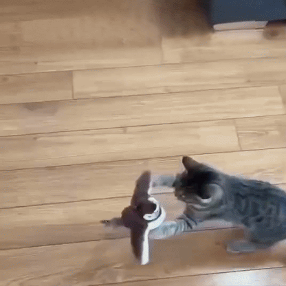 FederFuchs — Das spielerische Federleben, das Ihre Katze erwachen lässt.