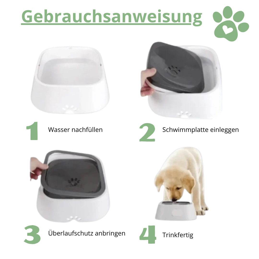 GlanzNapf – Der spritzfreie Trinknapf, der Ihren Boden trocken und Ihren Hund gesund hält.