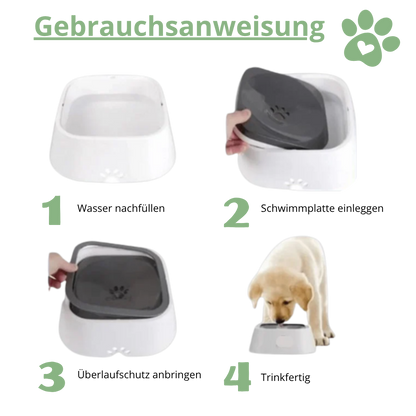 GlanzNapf – Der spritzfreie Trinknapf, der Ihren Boden trocken und Ihren Hund gesund hält.
