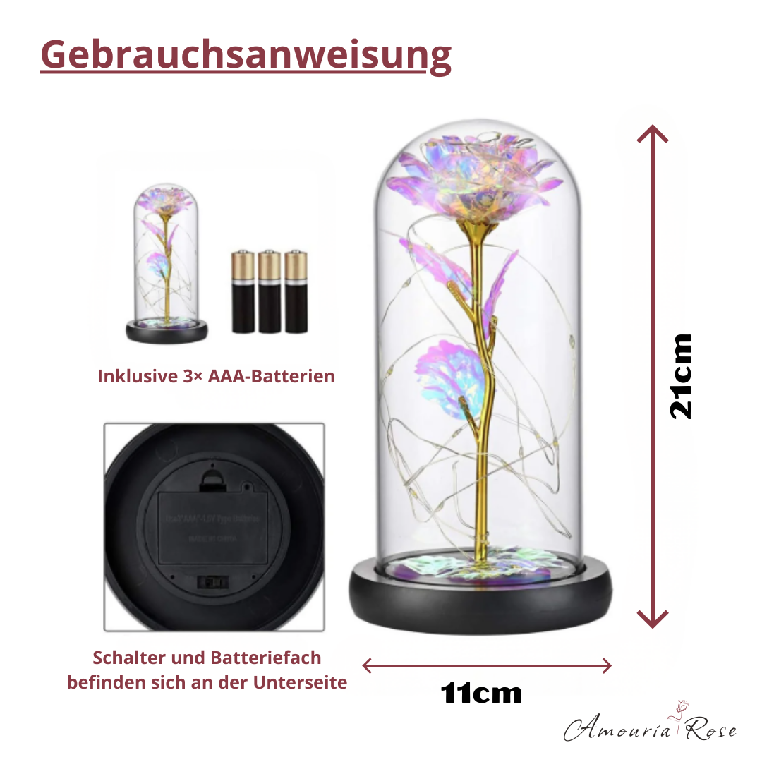 Amouria Rose - Für den Moment, den man nicht vergisst.