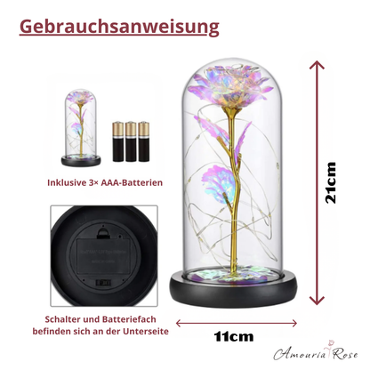 Amouria Rose - Für den Moment, den man nicht vergisst.