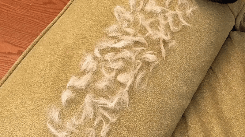 PelzWunder - Elektrostatisch Enthaarungshandschuhe für Haustiere