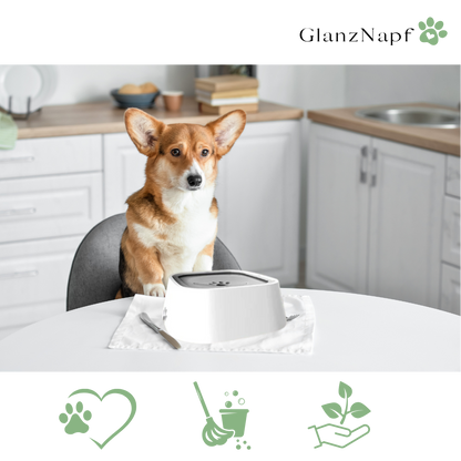 GlanzNapf – Der spritzfreie Trinknapf, der Ihren Boden trocken und Ihren Hund gesund hält.
