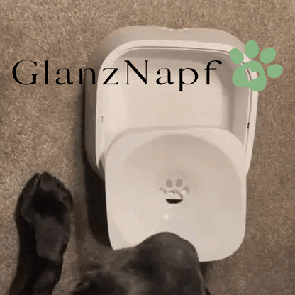 GlanzNapf – Der spritzfreie Trinknapf, der Ihren Boden trocken und Ihren Hund gesund hält.
